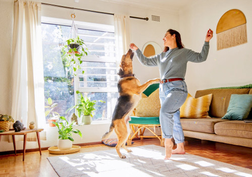 Improve Indoor Air With a 20x25x4 Furnace HVAC Air Filter and Reliable Duct Repair